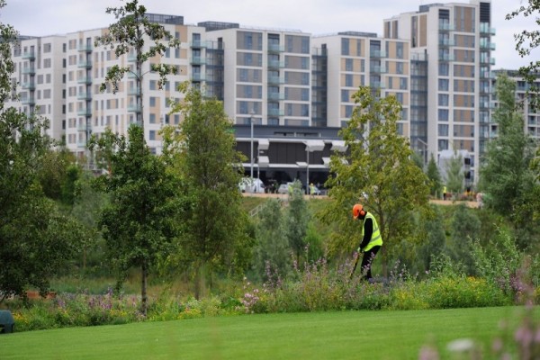 Maintaining the gardens