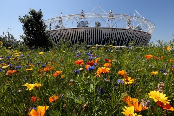 The Olympic Stadium